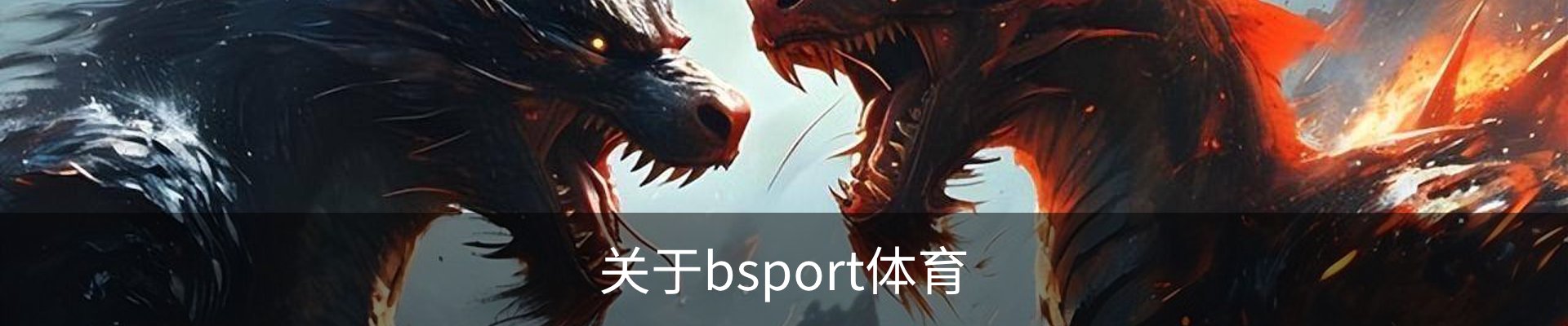 关于bsport体育