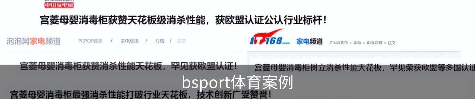 bsport体育案例